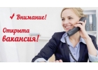 Требуется консультант